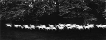 PAUL CAPONIGRO (1932- ) Running White Deer, County Wicklow, Ireland.